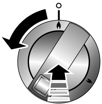 FALCON ARL110DFSS/-FRA - Brûleurs de table de cuisson - 1