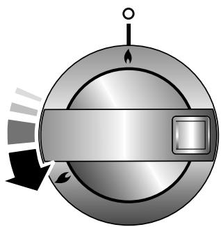 FALCON ARL110DFSS/-FRA - François - 1
