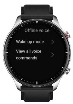 AMAZFIT GTR2 - Commande vocale hors ligne - 1