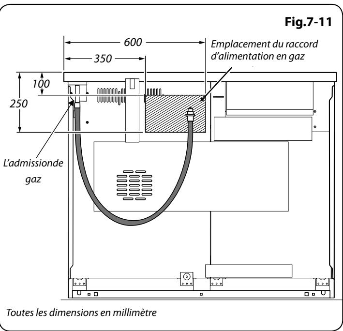 FALCON ARL110DFFCY/C-EU - Montage de la norme ISO 7-1 à connecteur ISO 228-1 pour les fournitures de gaz français - 2
