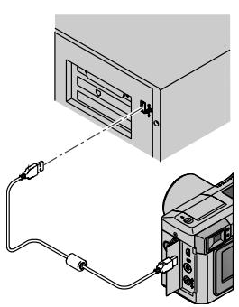 KODAK DC4800 - Brancher un cable USB - 1