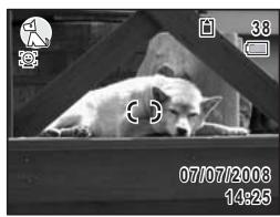 PENTAX M60 - Appuyez sur le bouton OK. - 1
