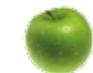 MAGIMIX JUICE EXPERT 54605160 - FILTRE JUS - 2