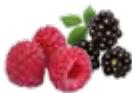 MAGIMIX JUICE EXPERT 54605160 - EXTRA PRESS - 6