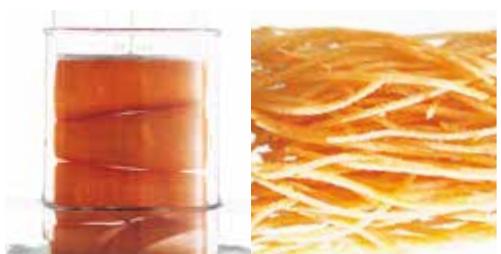 MAGIMIX JUICE EXPERT 54605160 - ATTENTION - 6