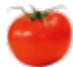 MAGIMIX JUICE EXPERT 54605160 - EXTRA PRESS - 2