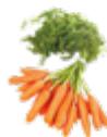 MAGIMIX JUICE EXPERT 54605160 - FILTRE JUS - 3
