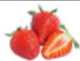 MAGIMIX JUICE EXPERT 54605160 - EXTRA PRESS - 1