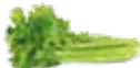 MAGIMIX JUICE EXPERT 54605160 - FILTRE JUS - 1