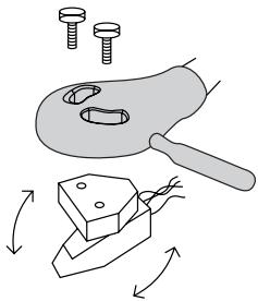 MAROQUE Elipsonreference - ORIENTATION DE LA CELLULE - 1
