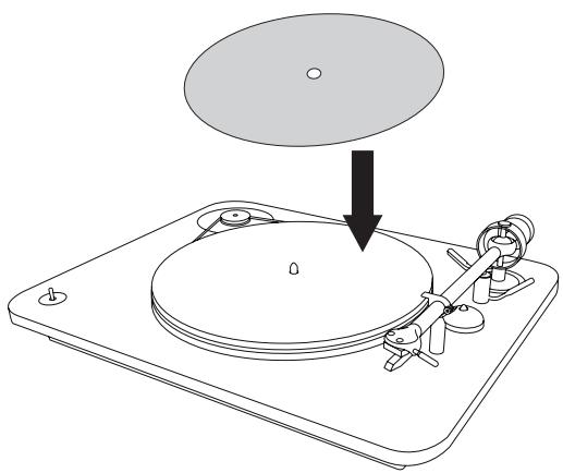 MAROQUE Elipsonreference - PREPARATION - 4