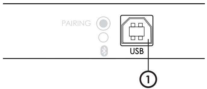 MAROQUE Elipsonreference - ENREGISTREMENT USB (SELEN LES MODELES*) - 1