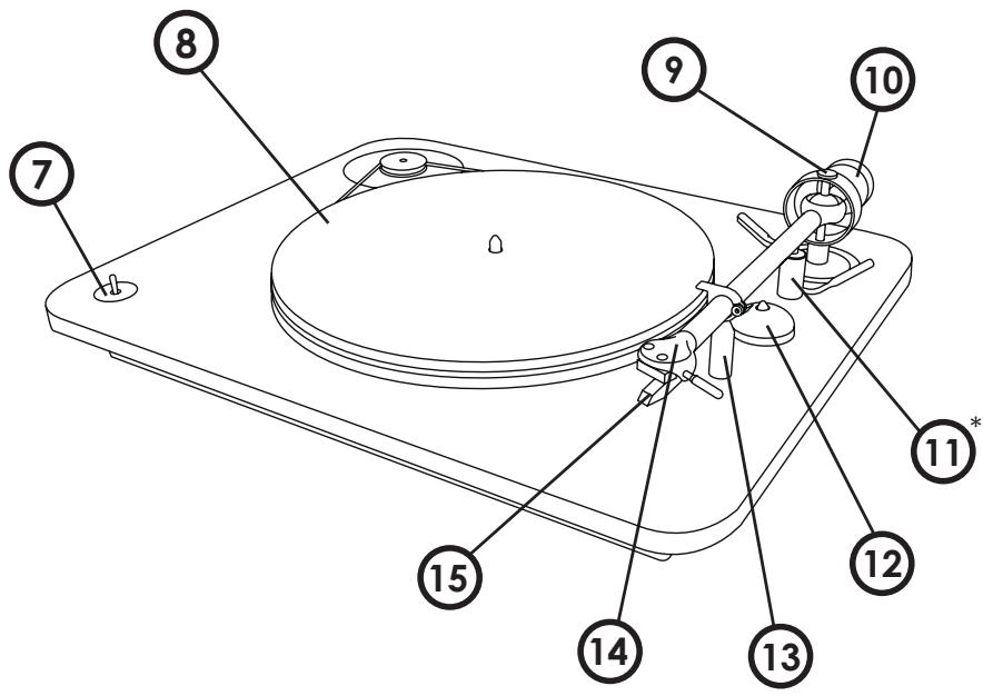 MAROQUE Elipsonreference - DESCRIPTION - 2