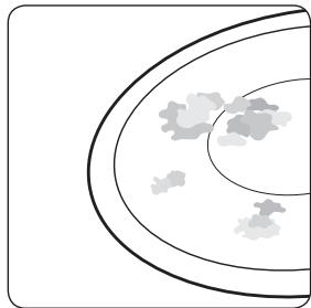 SAMSUNG CTI 613 GIN NOIR - Salissures tenaces - 5