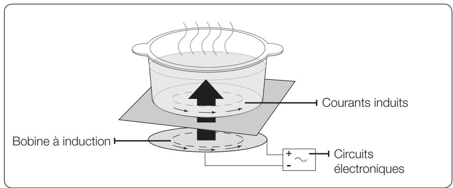SAMSUNG CTI 613 GIN NOIR - CHAUFFAGE PAR INDUCTION - 1