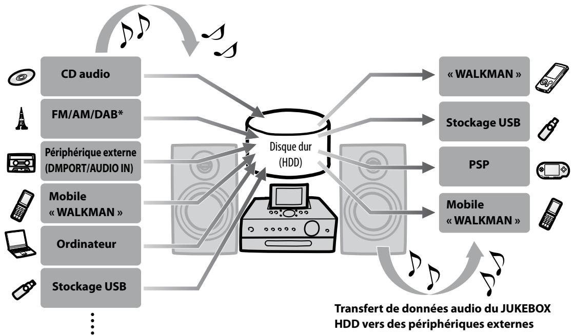 SONY NAS-S5S5PKE - A propos de l'importation et du transfert de données audio - 1