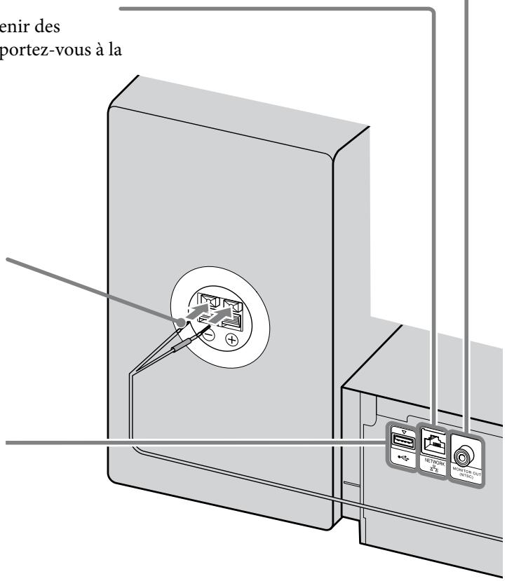 SONY NAS-S5S5PKE - Antenne filaire DAB (modèle destiné au Royaume-Uni uniquement) - 2