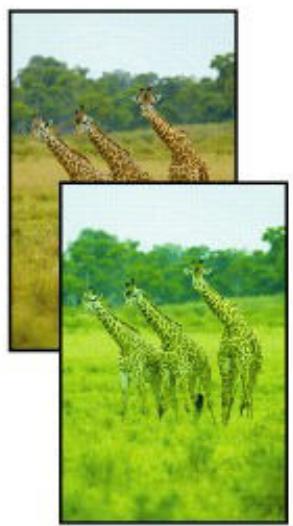 CANON G3560 - Les impressions sont vierges/floues ou troubles/couleurs inexactes ou bavures/traces ou lignes - 5