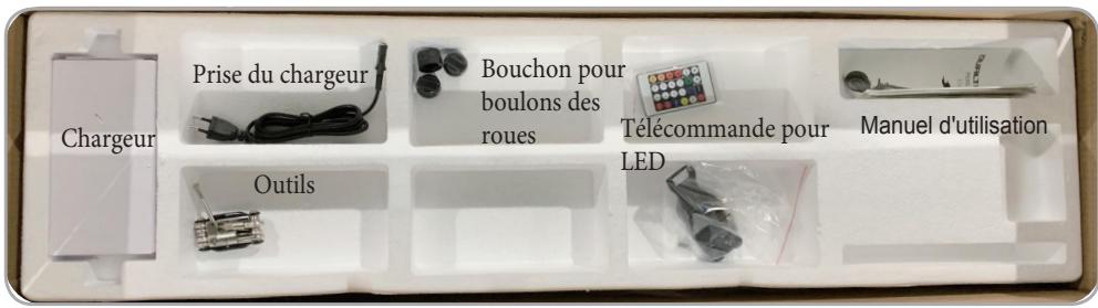 MINIMOTOR DUALTRON MINI 52V15 AH - 1000 W - Dimension du produit - 4