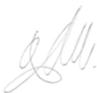 MINIMOTOR DUALTRON MINI 52V15 AH - 1000 W - MEMO - 2