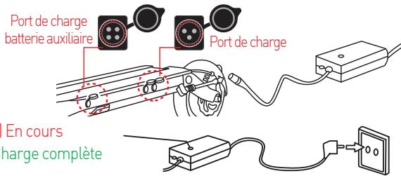MINIMOTOR DUALTRON MINI 52V15 AH - 1000 W - 1) Recharge classique - 1
