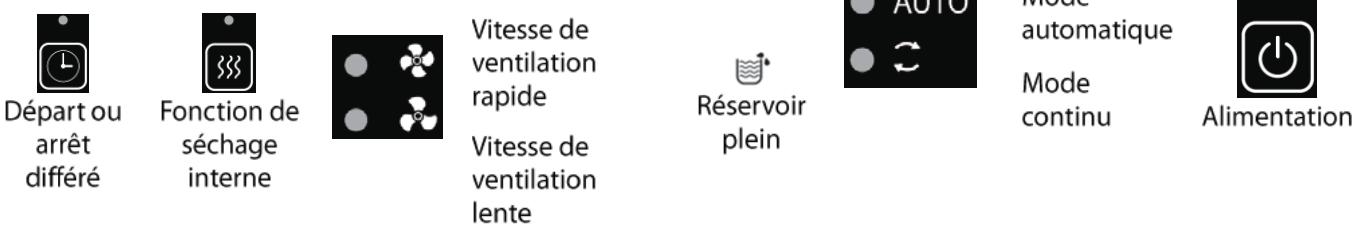 PROLINE 4285522 - Touches: - 3