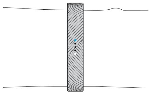 FITBIT FLEX 2 MAGENTA - Reconnaissance des notifications entrantes - 2