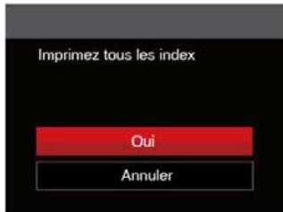 KODAK AZ421WHITE - Imprimez tous les index - 1