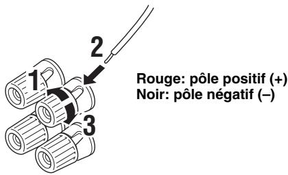 YAMAHA AV 3101 - Avant de raccorder les enceintes aux bornes SPEAKERS - 2