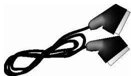 C6V PVR-D80 - Accessoires fournis - 5