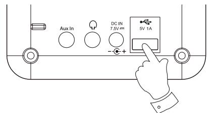 ROBERTS BLUTUNE T2 - Prise USB pour la recharge des smartphones ou tablettes - 1