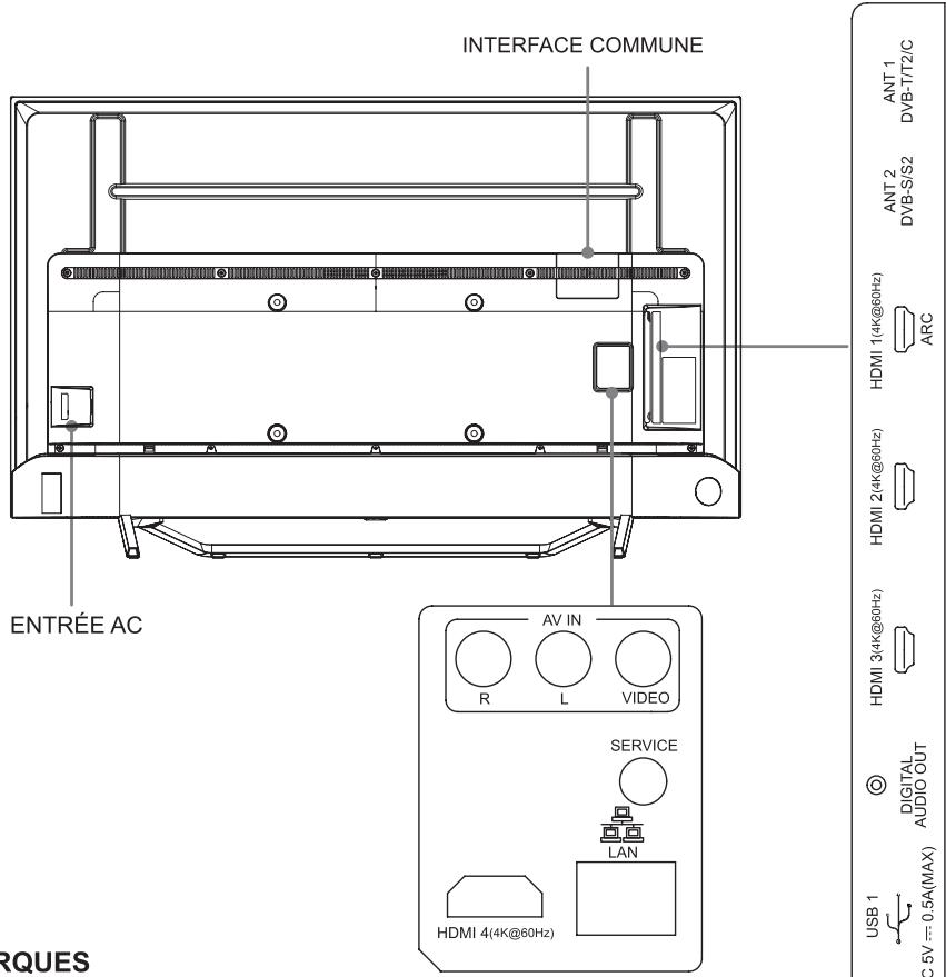 HISENSE LCD 51 A 59POUCES010 - Face arrière du téléviseur - 1