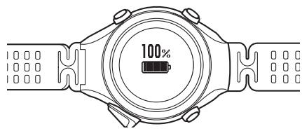 EPSON SF-810 V VIOLET - Important : - 5