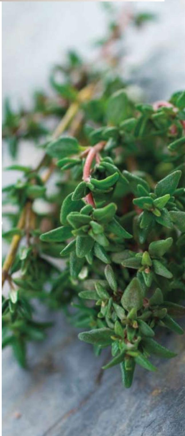 CUISINART GR4&0E - Comment faire ? - 1