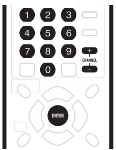 PIONEER DVR-220S - Sélection des canaux de télévision - 1