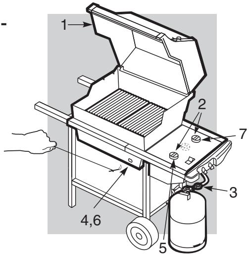WEBER SP 310 - ALLUMAGE MANUEL - 1