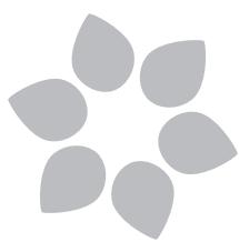 SAINT-ALGUER DEMELISS SLIMBRUSH - 1