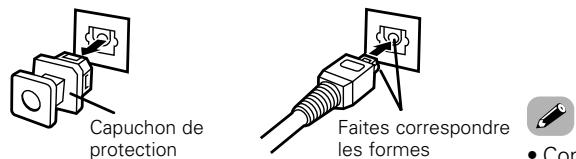 DENON DCD710AE SIL - Connexions numériques - 2