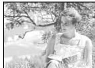 OLYMPUS NC - Exposition automatique différenciée - 3