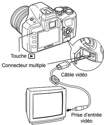 OLYMPUS NC - Affichage sur un téléviseur - 1