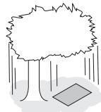 OLYMPUS NC - Luminosite : Compensation d'exposition - 4