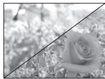 OLYMPUS NC - A:Prise de vue priorite ouverture - 3