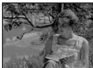 OLYMPUS NC - Exposition automatique différenciée - 1