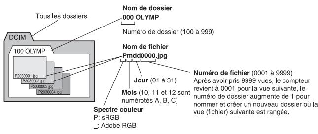 OLYMPUS NC - Nom de fichier - 1