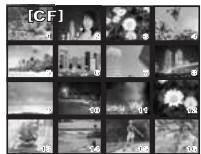 OLYMPUS NC - Affichage de l'index/Affichage du calendrier - 7