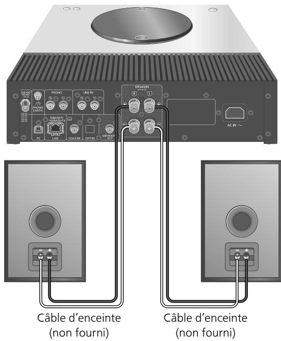 DARTY SAC600EGSARGENT - Connexion de l'enceinte - 1
