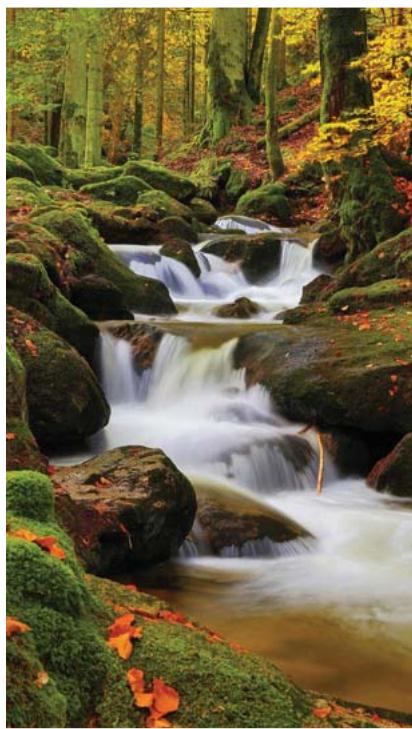 HONOR 6X PRO GOLD - Eau soyeuse - 1