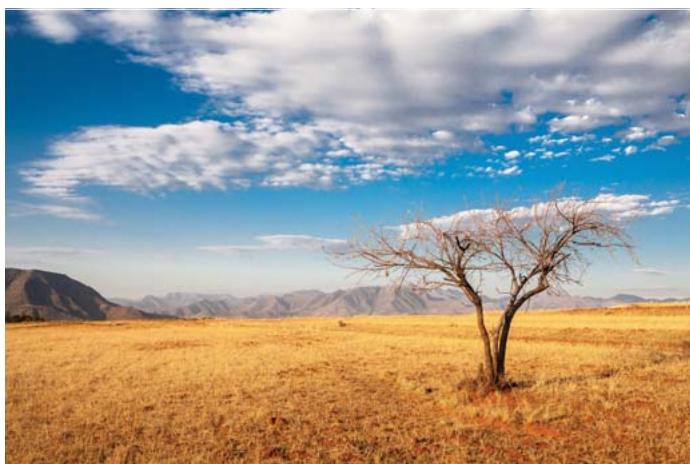 HONOR 6X PRO GOLD - Mode time-lapse - 1