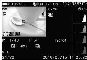 SIGMA FP45MMF28DGDN - AFFICHAGE DES INFORMATIONS D'IMAGE - 1