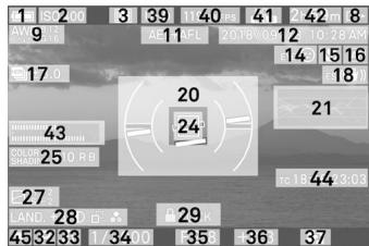 SIGMA FP45MMF28DGDN - AFFICHAGE DU MONITEUR PENDANT LA PRISE DE VUE - 6